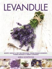 Metafora Levanduľa - Recepty, návody a tipy na pestovanie, výrobu domácej kozmetiky, tvorenie dekorácií a varenie s levanduľou