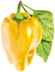 Click and Grow sladká žltá paprika, kapsle sa samínky a substrátem 3ks