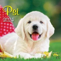 Kalendár 2024 Psy, nástenný