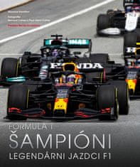 Maurice Hamilton: Formula 1 Šampióni - Legendárni jazdci F1