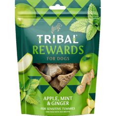 Tribal Rewards Snack Apple, Mint & Ginger 125 g