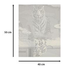 KIK KX4497_2 Maľovanie podľa čísel 40x50 cm mačka a tiger