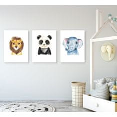 PIPPER. Set detských obrazov - Exotické zvieratká, 3x 50x40 cm