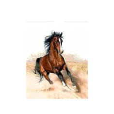 PIPPER. Maľovanie podľa čísiel "Kôň 2" 50x40 cm, plátno vypnuté na ráme