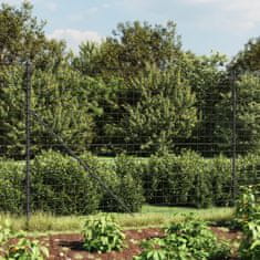 Vidaxl Drôtený plot s kotviacimi hrotmi antracitový 2x10 m