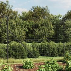 Vidaxl Drôtený plot antracitový 1,6x25 m pozinkovaná oceľ
