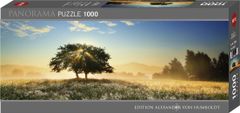Heye Panoramatické puzzle Hra svetla 1000 dielikov