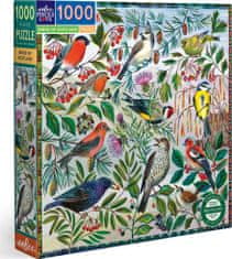 eeBoo Štvorcové puzzle Vtáky Škótska 1000 dielikov