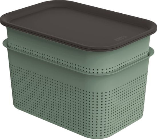 Rotho set box + veko BRISEN 2× 4,5 l, zelený
