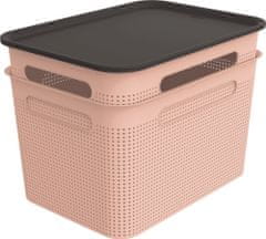 Rotho set box + veko BRISEN 2× 16 l, ružový