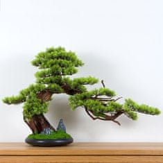 Bondek Pokojová dekorativní bonsai - Borovice (PN-13)
