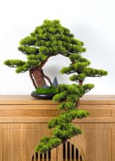 Bondek Pokojová dekorativní bonsai - Borovice (PN-18)