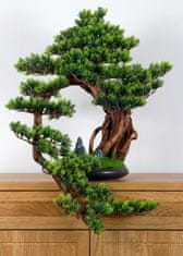 Bondek Pokojová dekorativní bonsai - Borovice (PN-17)