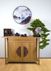 Bondek Pokojová dekorativní bonsai - Borovice (PN-18)