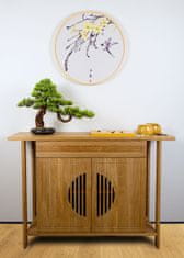 Bondek Pokojová dekorativní bonsai - Borovice (PN-33)