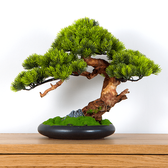 Bondek Pokojová dekorativní bonsai - borovice, výška 37 cm (PN-71)