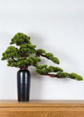 Bondek Pokojová dekorativní bonsai ve váze - Borovice (PN-23)