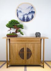 Bondek Pokojová dekorativní bonsai - borovice, výška 50 cm (PN-69)
