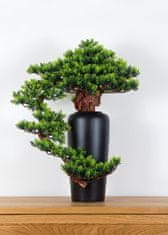 Bondek Pokojová dekorativní bonsai ve váze - Borovice (PN-20)