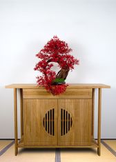 Bondek Pokojová dekorativní bonsai - Javor (PN-16)