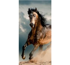 FARO Textil Bavlnená froté osuška HORSE 70x140 cm viacfarebná