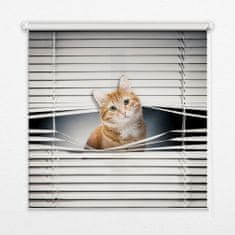 COLORAY.SK Roleta Červená mačka Žaluzija za propuščanje svetlobe 120x240 cm