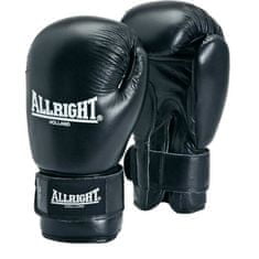 Najlepšie boxerské rukavice Professional10Oz