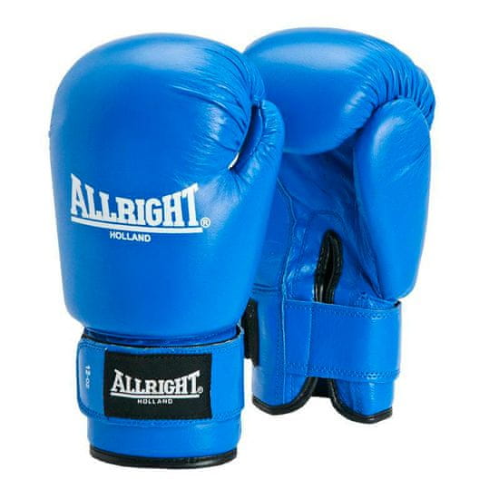 Najlepšie profesionálne boxerské rukavice 12Oz