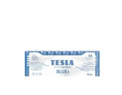 Tesla Batteries 1099137101 AA-BLUE+ Zinc carbon , R06, FOIL /10ks