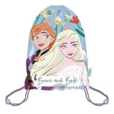 Arditex Športová taška Disney Frozen Brave, taška na telocvik 44 cm