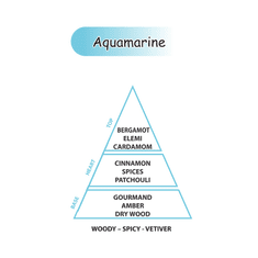 Areon Aróma difuzér Home Perfume Sticks 1L – vôňa Aquamarine