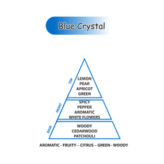 Areon Aróma difuzér Home Perfume Sticks 1L – vôňa Blue Crystal