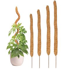 Northix Flexibilná podpora rastlín - 60 cm 