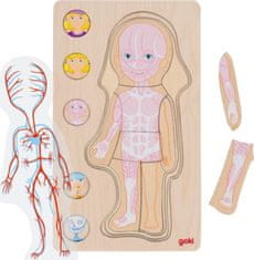Goki Viacvrstvové puzzle Ľudské telo Dievča
