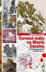 Epocha Červené maky na Monte Cassine - Bol to Verdun druhej svetovej vojny?)