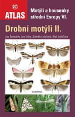 Drobní motýle II. - Motýle a húsenice strednej Európy VI.
