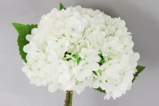 ART Hortenzia, farba biela. Kvetina umelá. KUM3255