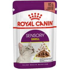 Royal Canin - Feline kaps. Sensory Smell gravy 85g