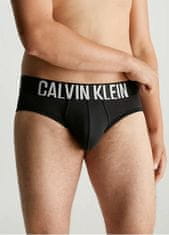 Calvin Klein 2 PACK - pánske slipy NB2601A-GXI (Veľkosť L)