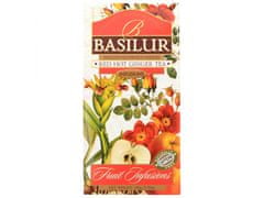 Basilur BASILUR Red Hot Ginger - Sušené ovocie, nálev zo zimného ovocia so zázvorom, 100 g, 1