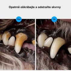 Surtep Animals Sada nástrojov pre psa na odstraňovanie zubného kameňa a dentálnu hygienu 3 ks