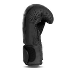 DBX BUSHIDO boxerské rukavice B-2v21 10 oz.