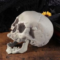 Korbi Umelá lebka, sivá tieňovaná lebka, halloween dekorácia, ornament 21cm