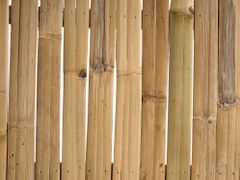 Beliani Bambusový konferenčný stolík 80 x 45 cm svetlé drevo TODI