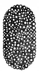 Galicja Kúpeľňová protišmyková podložka do vane čierna 69 x 39 cm