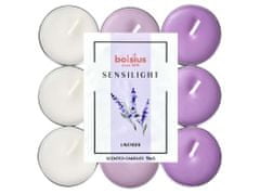 Bolsius Sensilight Čajové 9ks Lavender trojfarebné, vonné sviečky