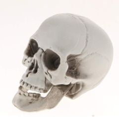 Korbi Umelá lebka, sivá tieňovaná lebka, halloween dekorácia, ornament 20cm