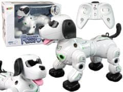 Lean-toys Interaktívny diaľkovo ovládaný robotický pes