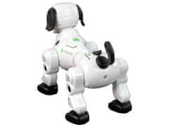 Lean-toys Interaktívny diaľkovo ovládaný robotický pes