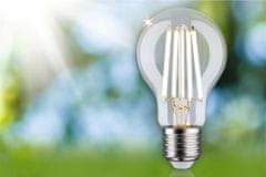 Paulmann PAULMANN Eco-Line Filament 230V LED žiarovka E27 1ks-sada 4W 3000K číra 29121